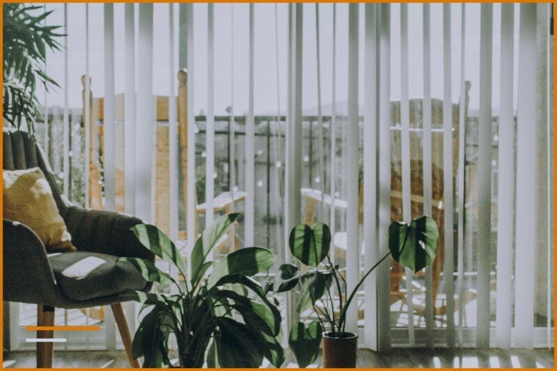 Bright space with chairs, plants, and large windows.